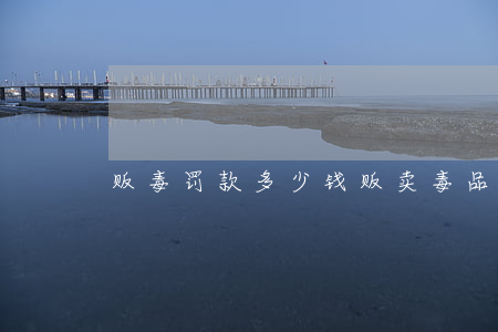 贩毒罚款多少钱(贩卖毒品罪罚金怎么定)