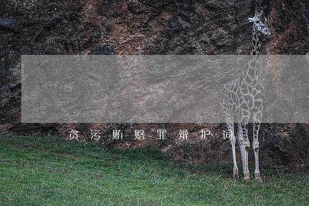 贪污贿赂罪辩护词