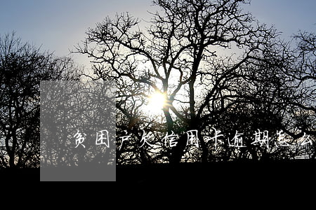 贫困户欠信用卡逾期怎么协商