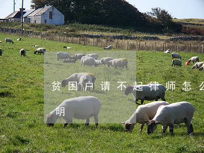 贫困户请不起律师怎么办(免费请律师 贫困证明)