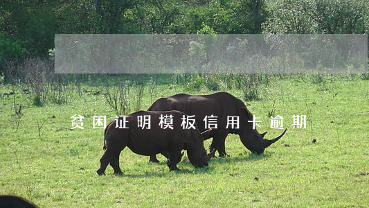 贫困证明模板信用卡逾期