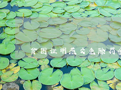 贫困证明范文(免除罚金贫困证明范文)