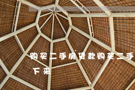 购买二手房贷款(购买二手房贷款一般多久能下来)