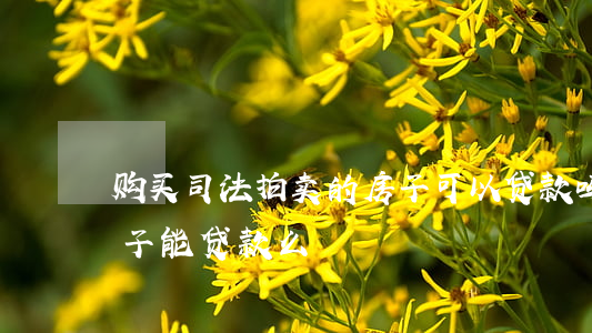 购买司法拍卖的房子可以贷款吗(法院拍卖房子能贷款么)