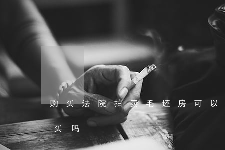 购买法院拍卖毛坯房可以吗(法拍房毛坯房能买吗)
