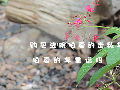 购买法院拍卖的走私车可以上路吗(网上法院拍卖的车靠谱吗)