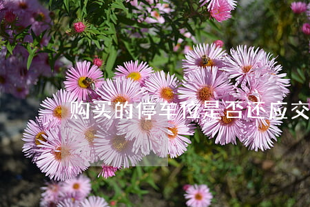 购买的停车位是否还应交停车费