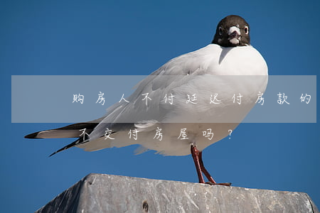购房人不付延迟付房款的违约金，出卖人可以不交付房屋吗？