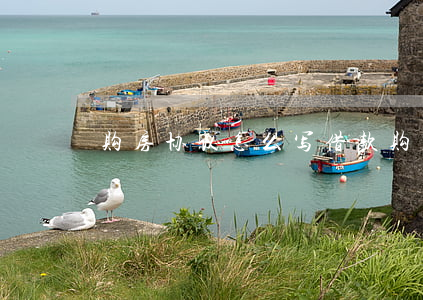 购房协议怎么写(借款购房协议怎么写)
