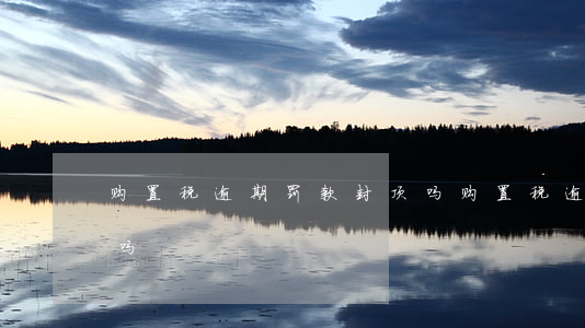 购置税逾期罚款封顶吗(购置税逾期罚款封顶吗)