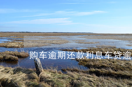 购车逾期还款利息(车贷逾期的利息要还吗)
