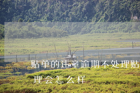 贴单的违章逾期不处理 贴单的违章逾期不处理会怎么样