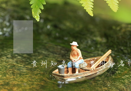 贵州知名律师(贵州知名律师事务所排名)