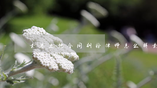 贵港土地合同纠纷律师怎么样(贵阳土地律师?)