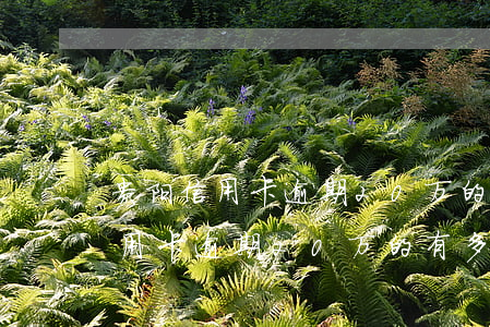 贵阳信用卡逾期20万的有多少人-贵阳信用卡逾期20万的有多少人被起诉