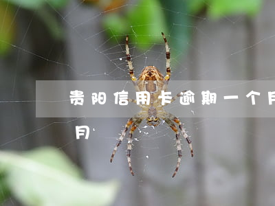 贵阳信用卡逾期一个月（贵阳信用卡逾期一个月）