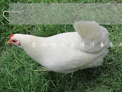 贵阳哪几家律师事务所是按年交挂靠费的