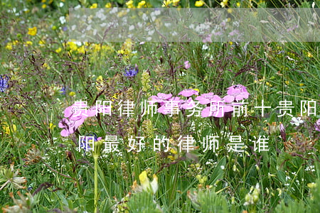 贵阳律师事务所前十贵阳律师事务所排名(贵阳最好的律师是谁)