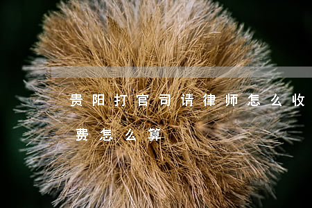 贵阳打官司请律师怎么收费(打官司要钱律师费怎么算)