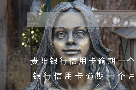 贵阳银行信用卡逾期一个月能解封吗-贵阳银行信用卡逾期一个月能解封吗安全吗