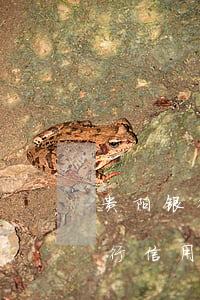 贵阳银行信用卡逾期结清优惠政策-贵阳银行信用卡逾期结清优惠政策是什么