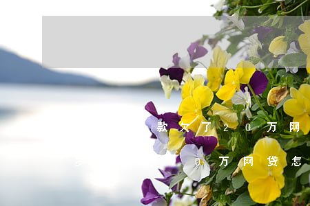 贷25岁款欠了20万网贷怎么办-贷25岁款欠了20万网贷怎么办理