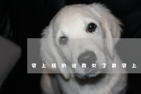 贷上钱的说我欠了款(贷上钱的说我欠了款)