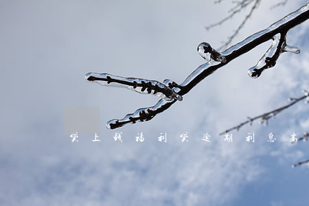贷上钱福利贷逾期利息高