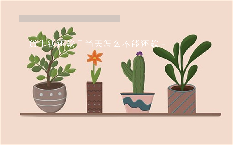 贷上钱还款日当天怎么不能还款-