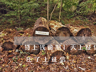贷上钱逾期1天上征信吗(信贷逾期一天马上还了上征信?)