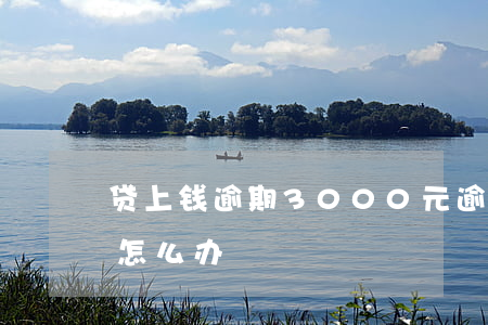 贷上钱逾期3000元(逾期3000元会被怎么办)