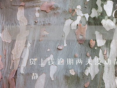 贷上钱逾期两天没动静(贷上钱逾期两天没动静)