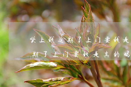 贷上钱逾期了上门要钱是真的吗-贷上钱逾期了上门要钱是真的吗知乎