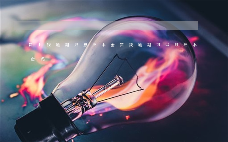 贷上钱逾期只想还本金(贷款逾期可以只还本金吗)