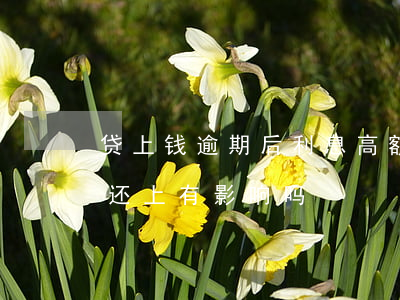 贷上钱逾期后利息高额(贷款利息逾期了之后还上有影响吗)