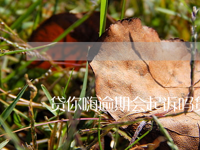 贷你嗨逾期会起诉吗(贷款逾期起诉会怎么样)
