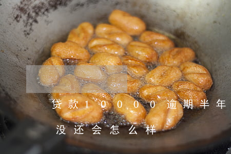 贷款10000逾期半年(贷款几千逾期一年没还会怎么样)