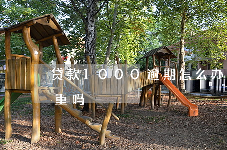 贷款1000逾期怎么办(逾期2000元严重吗)