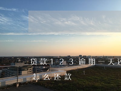 贷款123逾期一天还了(住房贷款逾期一天怎么还款)