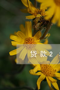 贷款2年还不起怎么办(银行贷款2年没还)