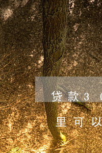贷款3000逾期一个月要还多少（有逾期哪里可以借款3000）