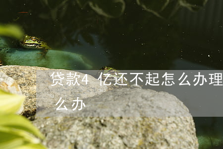 贷款4亿还不起怎么办理（贷款4亿还不起怎么办）