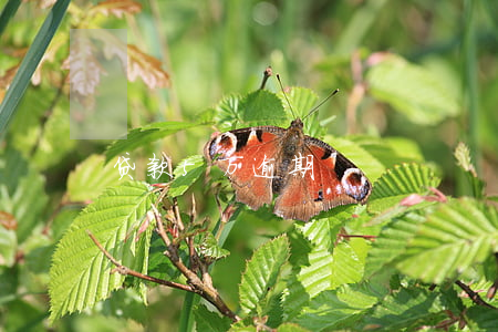 贷款5万逾期