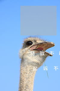 贷款不还法院起诉会有什么样后果(借款人被起诉不还款有什么后果)