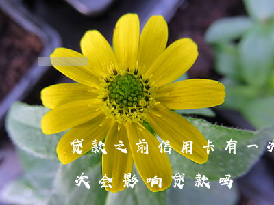 贷款之前信用卡有一次逾期(信用卡逾期了一次会影响贷款吗)