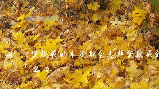 贷款买的车逾期会怎样(贷款买的车逾期了怎么办)