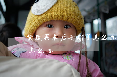 贷款买车后逾期了怎么办(贷款买车后逾期了怎么办)