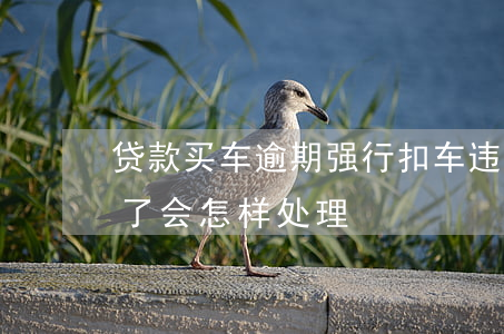 贷款买车逾期强行扣车违法-贷款买车逾期了会怎样处理
