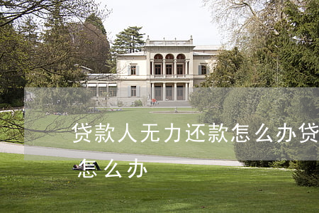 贷款人无力还款怎么办(贷款实在无力偿还该怎么办)