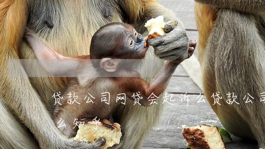 贷款公司网贷会起诉么 贷款公司网贷会起诉么知乎